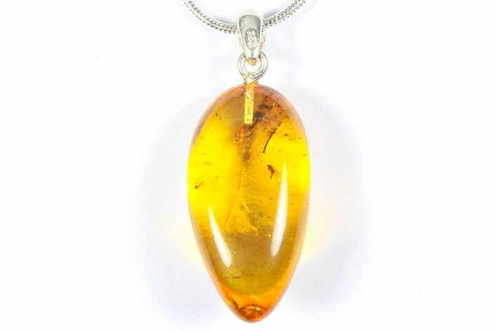 Polished Baltic Amber Pendant (Necklace) - Contains Flies! #368898